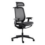 Auto Fitting Headrest Ergonomic Mesh Task Chair 350mm Nylon Base