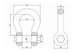 Bow Shackle 4 Times Breaking Load With High Strength Forged Carbon Steel Die