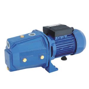 China High Start Torque Garden Self Priming Jet Pump 0.75hp For Farm Using factory
