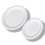 Oval Shaped Pulp Plate Disposable Sugarcane Bagasse Plates Freezer Safe