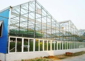 China Hydroponic Poly Tunnel Light Deprivation Blackout Greenhouse factory
