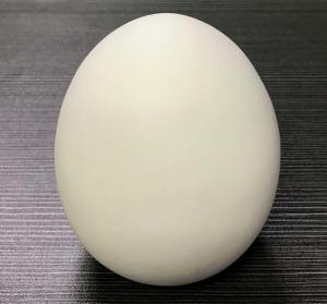 China cartoon catoon mini plastic egg Money Boxs, egg piggy bank, egg saving boxs promotional gifts factory