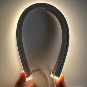 China Flexible Neon Strip L500cm*W12mm*H20mm 120LEDs/M 3-Year Warranty RGBW DMX512 factory