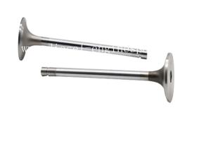 China Td100 D12a Intake Exhaust Valves Quick ISO CertifiCatere For VOLV factory