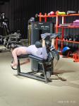 Freeman Unisex Commercial Gym Equipment Pin Loaded Prone Leg Curl Machine