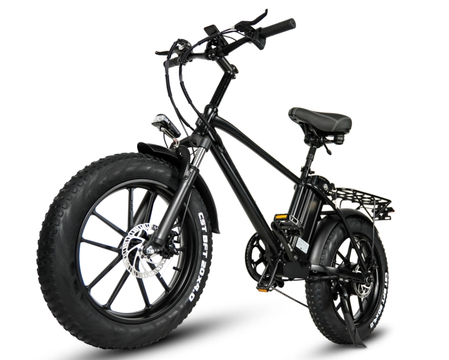 18Ah Lithium Battery Electric Hybrid Bike 750W 20 Inch Fat Tire Mountain Ebike For Adult