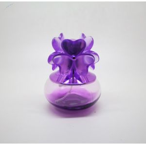 20ml Custom Glass Perfume Bottles , Easy Refill Empty Fragrance Oil Bottles