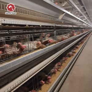 China Poultry Farming Battery Cage System With Hot Galvanized Coating For Laying Hens factory
