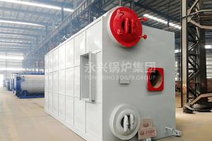 China Professional Gas Fired Steam Boiler 8 Ton Flexible Water Tube Boiler Condensing Type factory