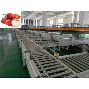 China Precise Fruit Grading Machine Intelligent 3 Channel For Litchi factory