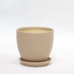 Discover The Best Selection Of Ceramic Pots For Your Plants Affordable Prices