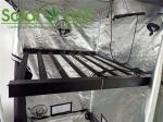 10V Horticulture LED Grow Lights