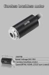 Faradyi D24*L47mm BLDC Coreless Motor 12V 24V 30V Long Lifespan For Electric