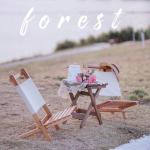 Mail Packing Y Outdoor Camping Garden Stackable Folding Beech Wooden Picnic