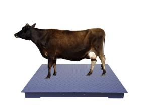 China High Precision Sensor Heavy Duty Floor Scales With Tread Plate factory