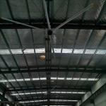 HVLS Industrial Fans For Improved Airflow