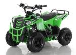 110cc Bore Stroke 52.4mm×49.5mm ATV Quad Bike
