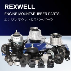 REXWELL Auto Rear Suspension Bush Left Right Control Arm Bushing 48725-02230 48725-02240 for Toyota COROLLA ZZE123 2005-2007