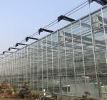 Multi Span Polycarbonate Greenhouse
