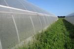 Insect Barrier Netting for Garden
