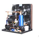 10HP S1052Y Italy Frascold Condensing Units Automatic Remote Monitoring For