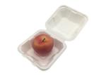 6 Inch Sugarcane Eco Hinged Biodegradable Takeout Containers