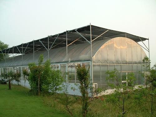 China Vegetable Single Span Greenhouse , Gothic Arch Greenhouse Low Thermal Conductivity factory