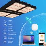 1000W Indoor House Plant Lights 4x4 Grow Light