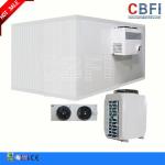 Automatic Commercial Blast Freezer / Blast Freezing Equipment 120mm Thickness