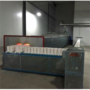 China Alumina Calcination Pusher Kiln Customized Automatic Continuous Sintering Gas factory