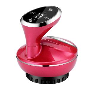 China Meridian Lymphatic Drainage Electric Scraping Massager 1 Year Warranty factory