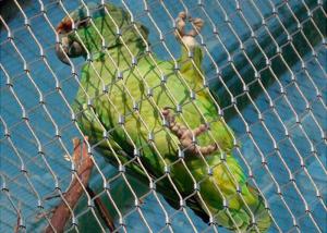 China Ferruled Stainless Steel Bird Aviary Wire Mesh Netting factory