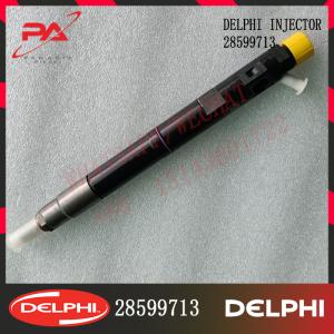 China 28599713 4D20M EJBR05102D DELPHI Diesel Injector factory