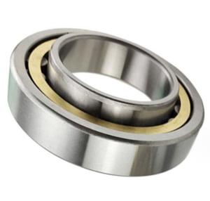 China NU303 FAG Spherical Roller Bearing 17*47*14mm P2 Precision Level For Principal Axis factory