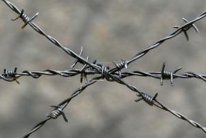 China Single Twist Barbed Wire factory