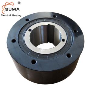 China BS160 BS200 BS220 Holdback Backstop Clutch One Way Cam Clutch Bearings factory