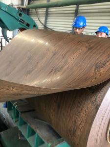 China Color Coated Pre Painted Steel Sheet Coil With 300 - 450Mpa Tensile Strength factory