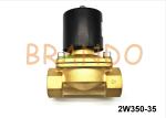 1-1/4'' 2W350-35 Two Ways Brass Water Solenoid Valve Reverse Osmosis Equipment