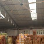 5Pcs Blade PMSM Motor Core Components 3.0m 10FT Industrial Ceiling Fan for