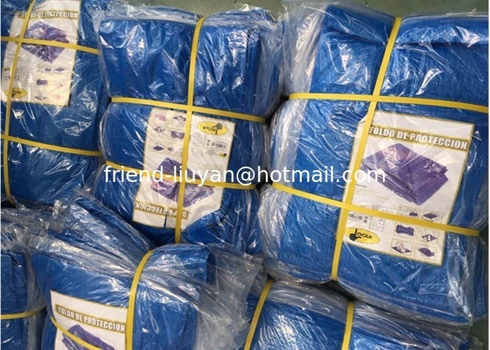 Wholesale Blue Color Tarpaulin Cargo Cover Heavy Duty Woven Fabric 120gsm,UV Resist Garden Cover Sheet,Pool Fabric