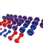 4kg Cast Iron Free Weight Exercise Equipment Neoprene Or Vinyl Dumbbell