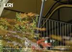Winter Safari Yurt House Luxury Glamping Tents With Private Bathroom