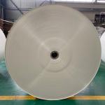 Ivory Polyethylene Coated Kraft Paper 300g 330g Polythene Paper Roll