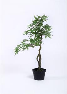 China Acrylic Paints Preserved Bonsai Tree Interior Landscaping Environmental Rejuvenating factory