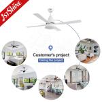 Indoor 52 Inch/OEM Pure Copper DC Ceiling Fan with LED Light and Remote Control