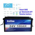6000 Times 2560WH 24V Lifepo4 Battery Pack 24V 100Ah With Prismatic Cell