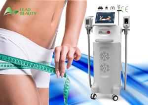 China 12 screen tough body weight loss cryolipolysis fat freeze slimming machine factory