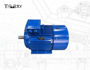China IC0141 Squirrel Cage Motor With 75mm Shaft Diameter For Continuous S1 Operation factory