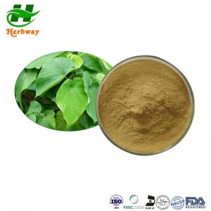 China Kava Extract Powder HPLC 30% Kavalactone CAS 9000-38-8 Piper Methysticum Extract factory