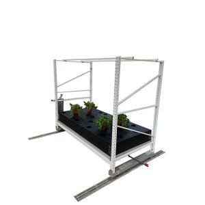 China 2ftx10ft Medicinal Plant Vertical Garden Rack Hydroponic Aeroponic Grow System factory